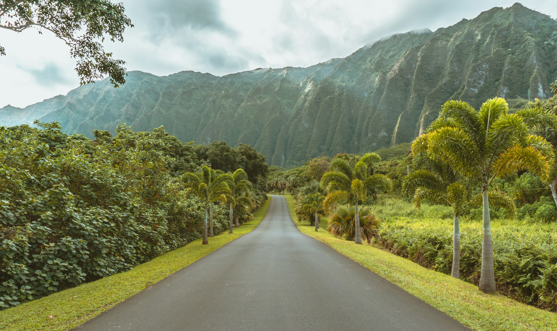 Simple Ways to Visit Hawaii Without Spending Too Much